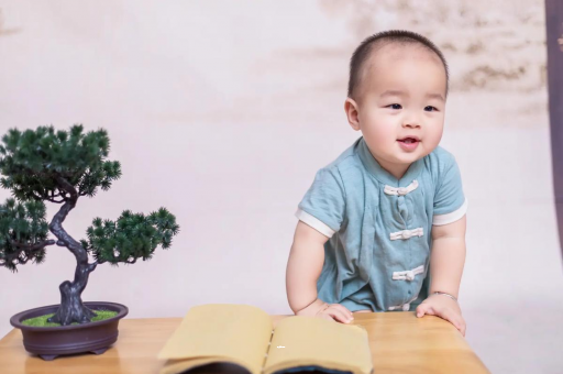 句容可爱的企鹅宝宝